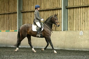 Isis Dressage Crown Farm Show 29th April 2012